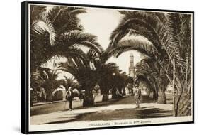 Morocco, Casablanca - Boulevard of the 4th Zouaves-null-Framed Stretched Canvas