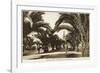 Morocco, Casablanca - Boulevard of the 4th Zouaves-null-Framed Photographic Print