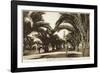 Morocco, Casablanca - Boulevard of the 4th Zouaves-null-Framed Photographic Print