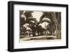 Morocco, Casablanca - Boulevard of the 4th Zouaves-null-Framed Photographic Print