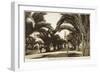 Morocco, Casablanca - Boulevard of the 4th Zouaves-null-Framed Photographic Print