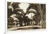 Morocco, Casablanca - Boulevard of the 4th Zouaves-null-Framed Photographic Print