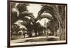 Morocco, Casablanca - Boulevard of the 4th Zouaves-null-Framed Photographic Print