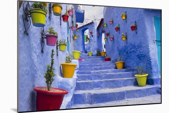 Morocco, Chaouen. Plantings in Colorful Pots Line the Narrow Corridors-Emily Wilson-Mounted Photographic Print
