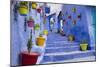 Morocco, Chaouen. Plantings in Colorful Pots Line the Narrow Corridors-Emily Wilson-Mounted Photographic Print