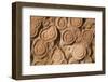 Morocco, Erfoud. Details of fossils at fossil factory.-Brenda Tharp-Framed Photographic Print
