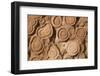 Morocco, Erfoud. Details of fossils at fossil factory.-Brenda Tharp-Framed Photographic Print