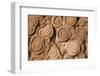 Morocco, Erfoud. Details of fossils at fossil factory.-Brenda Tharp-Framed Photographic Print