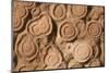 Morocco, Erfoud. Details of fossils at fossil factory.-Brenda Tharp-Mounted Photographic Print