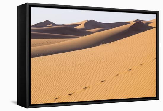 Morocco, Erg Chegaga Is a Saharan Sand Dune-Emily Wilson-Framed Stretched Canvas