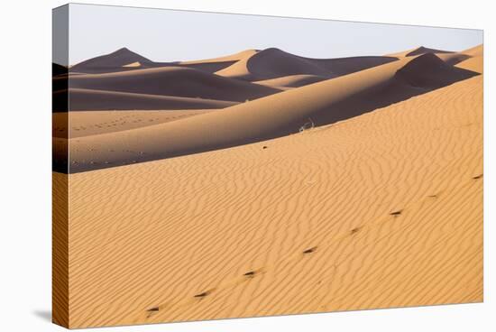 Morocco, Erg Chegaga Is a Saharan Sand Dune-Emily Wilson-Stretched Canvas