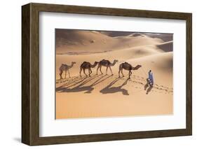 Morocco, Erg Chegaga Is a Saharan Sand Dune-Emily Wilson-Framed Photographic Print