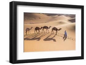 Morocco, Erg Chegaga Is a Saharan Sand Dune-Emily Wilson-Framed Photographic Print