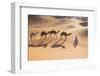 Morocco, Erg Chegaga Is a Saharan Sand Dune-Emily Wilson-Framed Photographic Print