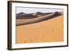 Morocco, Erg Chegaga Is a Saharan Sand Dune-Emily Wilson-Framed Photographic Print