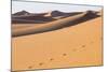 Morocco, Erg Chegaga Is a Saharan Sand Dune-Emily Wilson-Mounted Photographic Print