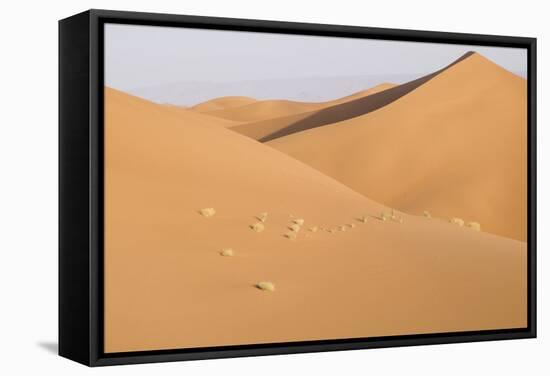 Morocco, Erg Chegaga, Souss-Massa-Draa Area, Saharan Sand Dunes-Emily Wilson-Framed Stretched Canvas
