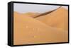 Morocco, Erg Chegaga, Souss-Massa-Draa Area, Saharan Sand Dunes-Emily Wilson-Framed Stretched Canvas