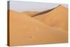Morocco, Erg Chegaga, Souss-Massa-Draa Area, Saharan Sand Dunes-Emily Wilson-Stretched Canvas