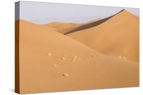 Morocco, Erg Chegaga, Souss-Massa-Draa Area, Saharan Sand Dunes-Emily Wilson-Stretched Canvas