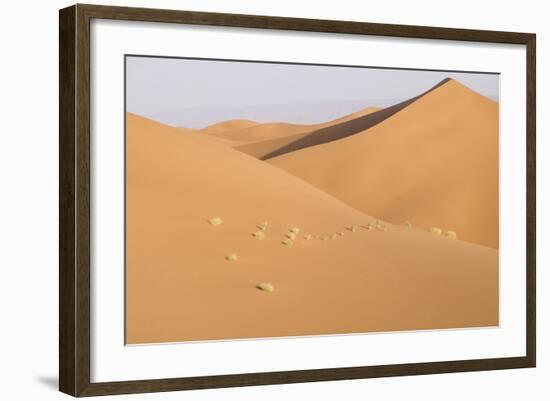 Morocco, Erg Chegaga, Souss-Massa-Draa Area, Saharan Sand Dunes-Emily Wilson-Framed Photographic Print