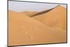 Morocco, Erg Chegaga, Souss-Massa-Draa Area, Saharan Sand Dunes-Emily Wilson-Mounted Photographic Print