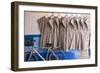 Morocco, Essaouira, Djellabas Hanging on Wall Next to Bicycle-Emily Wilson-Framed Photographic Print