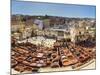 Morocco, Fes, Medina (Old Town), Traditional Old Tanneries-Michele Falzone-Mounted Photographic Print