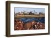 Morocco. Fish nets, floats, boats, and commercial fishing vessels of the harbor in Essaouira.-Brenda Tharp-Framed Photographic Print