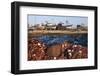 Morocco. Fish nets, floats, boats, and commercial fishing vessels of the harbor in Essaouira.-Brenda Tharp-Framed Photographic Print