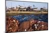 Morocco. Fish nets, floats, boats, and commercial fishing vessels of the harbor in Essaouira.-Brenda Tharp-Mounted Photographic Print