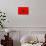 Morocco Flag Design with Wood Patterning - Flags of the World Series-Philippe Hugonnard-Art Print displayed on a wall