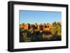 Morocco, Kasbah Ait Ben Addou. Kasbah Surrounded by an Oasis-Michele Molinari-Framed Photographic Print