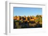 Morocco, Kasbah Ait Ben Addou. Kasbah Surrounded by an Oasis-Michele Molinari-Framed Photographic Print