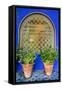 Morocco, Marrakech, Blue Building Exterior Surrounded by Plants-Emily Wilson-Framed Stretched Canvas