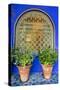 Morocco, Marrakech, Blue Building Exterior Surrounded by Plants-Emily Wilson-Stretched Canvas