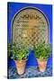 Morocco, Marrakech, Blue Building Exterior Surrounded by Plants-Emily Wilson-Stretched Canvas