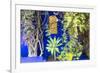 Morocco, Marrakech, Building Exterior Surrounded by Plants-Emily Wilson-Framed Photographic Print