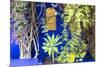 Morocco, Marrakech, Building Exterior Surrounded by Plants-Emily Wilson-Mounted Photographic Print