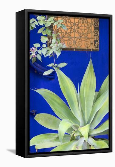 Morocco, Marrakech, Close Up of a Succulent Plant Outside a Building-Emily Wilson-Framed Stretched Canvas