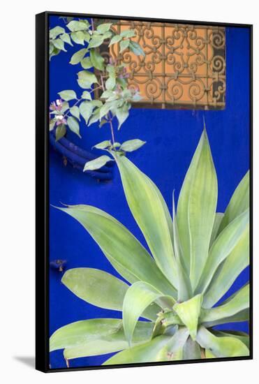 Morocco, Marrakech, Close Up of a Succulent Plant Outside a Building-Emily Wilson-Framed Stretched Canvas