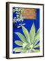 Morocco, Marrakech, Close Up of a Succulent Plant Outside a Building-Emily Wilson-Framed Photographic Print