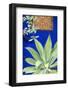 Morocco, Marrakech, Close Up of a Succulent Plant Outside a Building-Emily Wilson-Framed Photographic Print