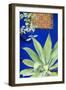 Morocco, Marrakech, Close Up of a Succulent Plant Outside a Building-Emily Wilson-Framed Photographic Print