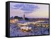 Morocco, Marrakech, Djemaa El-Fna Square-Michele Falzone-Framed Stretched Canvas