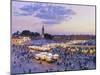 Morocco, Marrakech, Djemaa El-Fna Square-Michele Falzone-Mounted Photographic Print