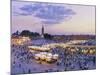 Morocco, Marrakech, Djemaa El-Fna Square-Michele Falzone-Mounted Photographic Print