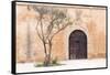 Morocco, Marrakech. Doorway Set into a Beige Way-Emily Wilson-Framed Stretched Canvas