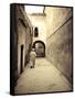 Morocco, Marrakech, Medina (Old Town)-Michele Falzone-Framed Stretched Canvas