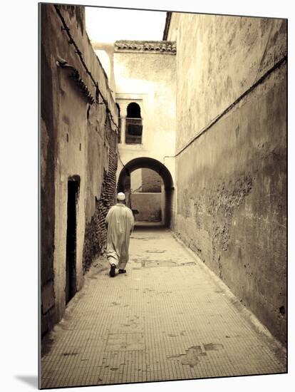 Morocco, Marrakech, Medina (Old Town)-Michele Falzone-Mounted Photographic Print